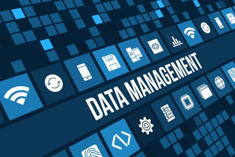 Data Management 01 2022-07-04 17_00_54
